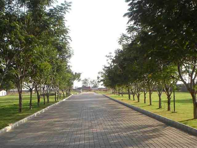 Bangalore Landscape Architect Apartment