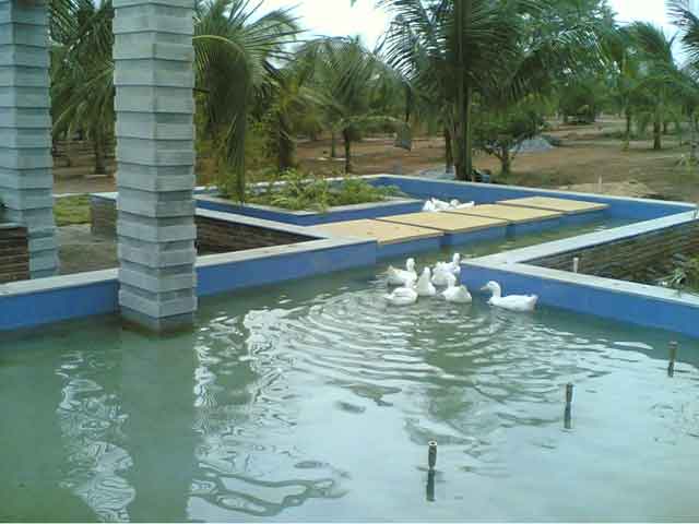 Bangalore Landscape Architect Apartment